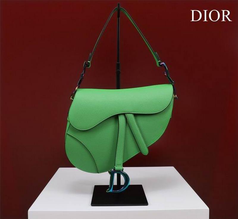 DIOR Handbags 34